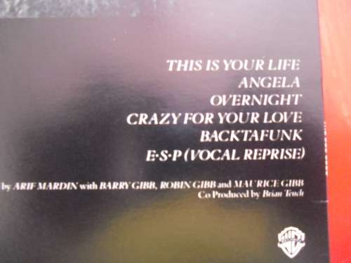 BEE GEES - E.S.P VINYL, LP, RECORD.